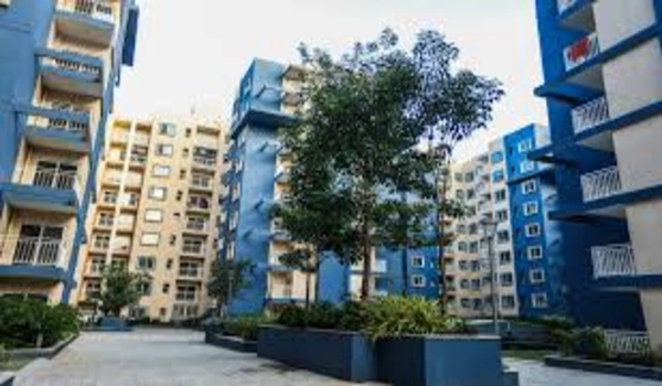 Featured image of Brigade Meadows