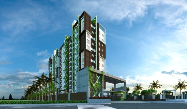 Featured image of CoEvolve Northern Star