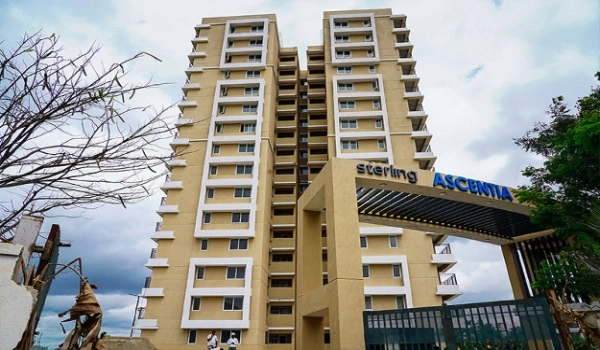 Featured image of Sterling Ascentia