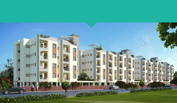 Featured image of Vakil Whispering Woods