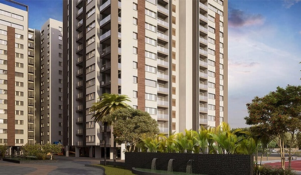 Featured Image of Arvind Sporcia